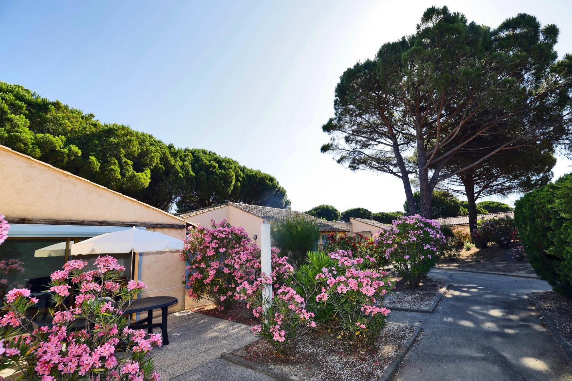 Village Vacances De Ramatuelle - Les Sentier Des Pins Dış mekan fotoğraf