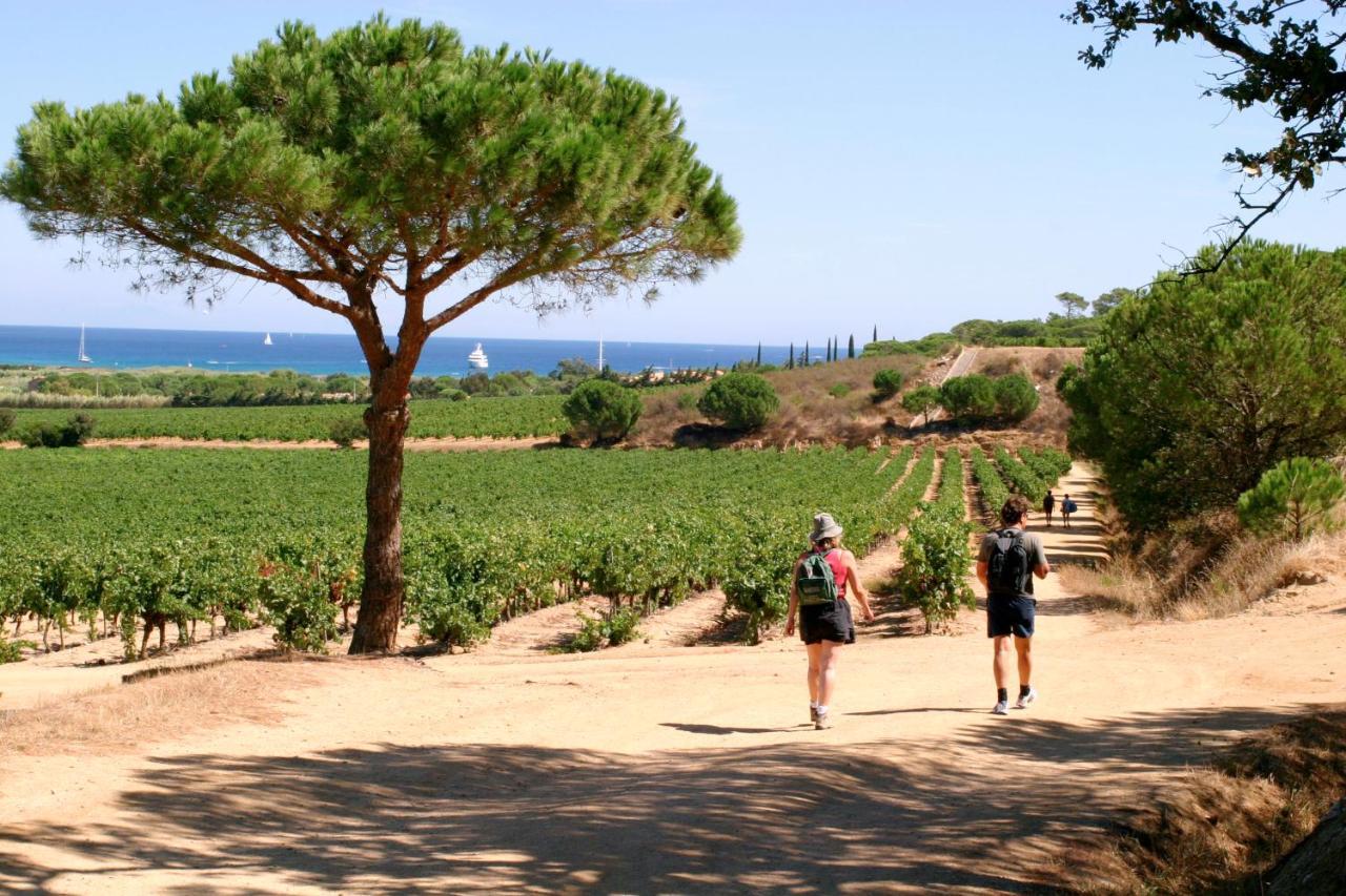 Village Vacances De Ramatuelle - Les Sentier Des Pins Dış mekan fotoğraf