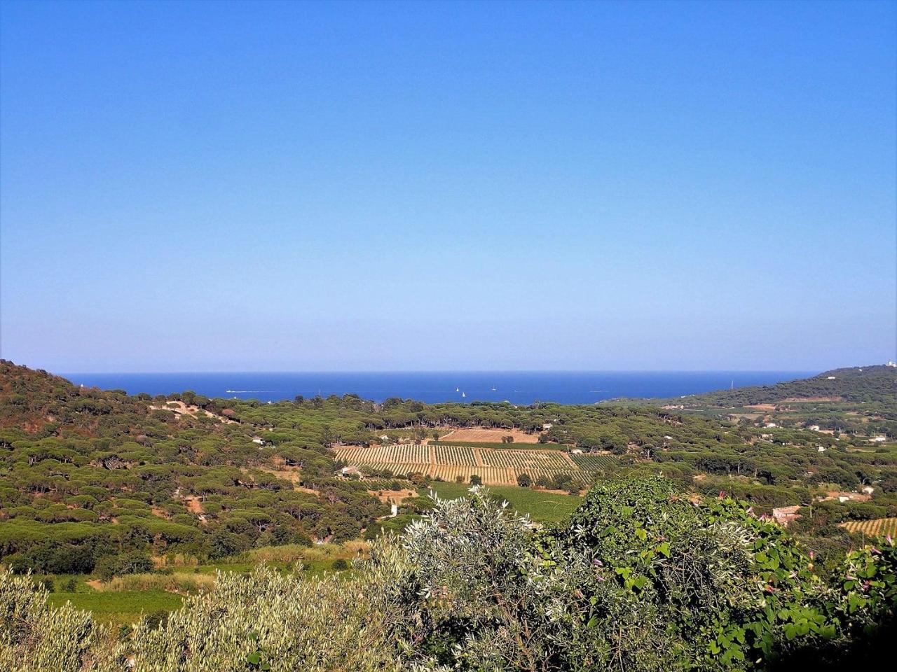 Village Vacances De Ramatuelle - Les Sentier Des Pins Dış mekan fotoğraf